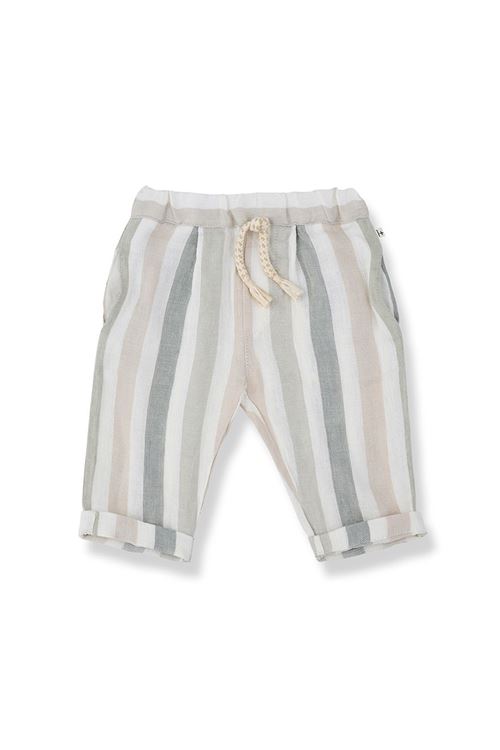  1+ in the family | REGENCOSECRU